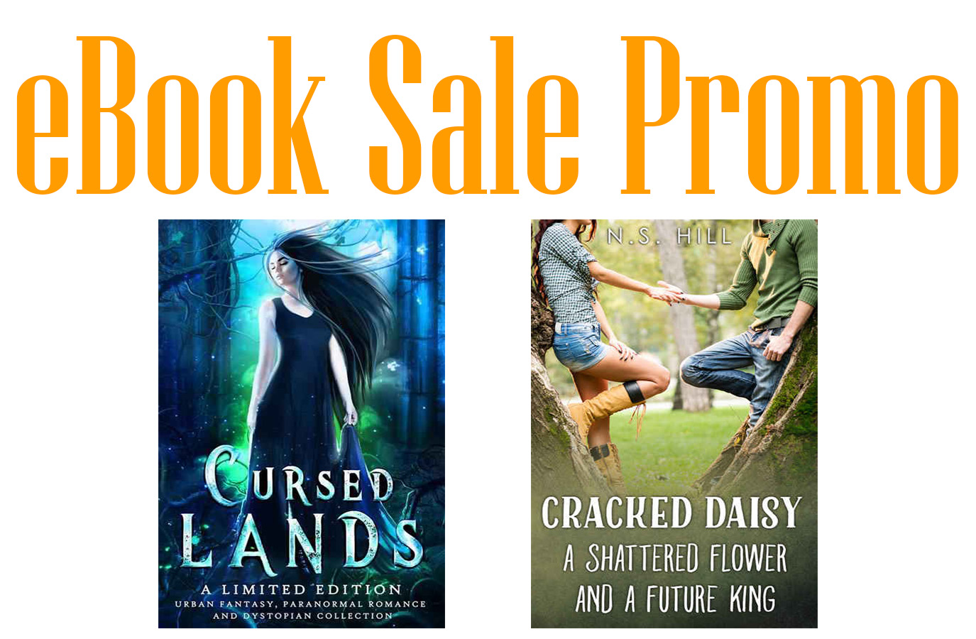 eBook Sale Promo – $2.99 or less